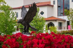 Montclair State University Red Hawk Statue