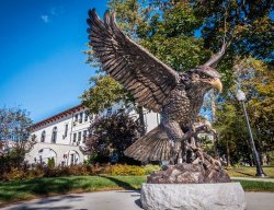 Hawk Statue behind blue sky.