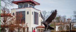photo of the hawk statue
