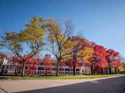 photo of trees in the fall