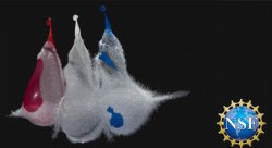 Feature image for Creativity in Mathematics and Science