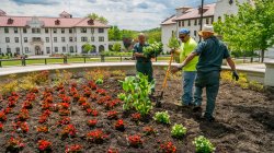 Photo of campus garden
