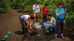 Photo of Environmental Management students in forest