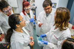 lab group discussing sample