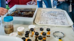 research samples table at World Water Day