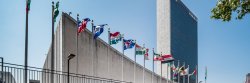 United Nations Flags
