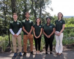 SAS Green Team
