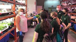 green team visits Greens do Good