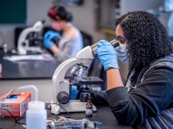 student using microscope in molecular biology lab