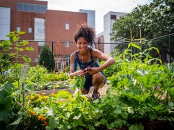 Brittany Portes in the Campus Community Garden