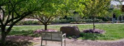 Photo of campus in spring