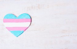 Transgender flag in a heart