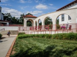 A student walking on the path on the side of College Hall towards the Red Hawk Statue on a sunny day in summer.
