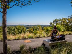 A student sitting outside of the CELS building reading a book with the New York skyline in the background.