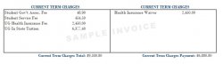 Health Insurance Bill Sample