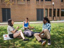Students sitting in the grass outside of Calcia Hall having a conversation.