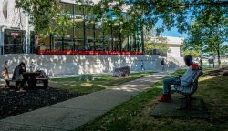A student sitting outside of the Student Center on their laptop reading something on a sunny, bright day.