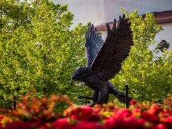 Hawk statue at Montclair State Univesrity.