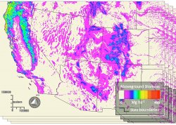 aboveground biomass maps