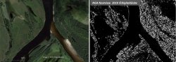 photo of river and tributary and enhanced photo showing tree coverage