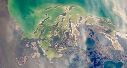 Satelite image of coastal sandbars