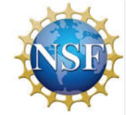 National Science Foundation logo