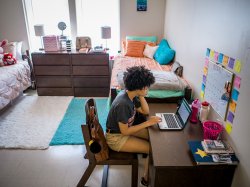 A student sitting down at a laptop in her room studying.