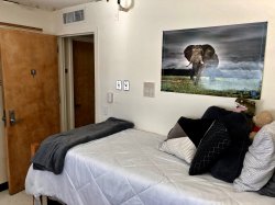 The other side of a Single Room in Blanton Hall with a student's bed.