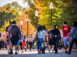 Students walking around in the spring on a main road in Montclair State.