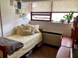 A Single Unit in Stone Hall with a bed on one side and a desk on the other.