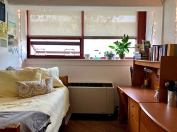 A Single in Stone hall with the bed on one side of the room and the desk on the other.