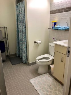 The bathroom in a Village Apartment with a sink, stall shower and toilet.