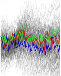 hundreds of superimposed line graphs