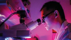Photo of student looking into microscope