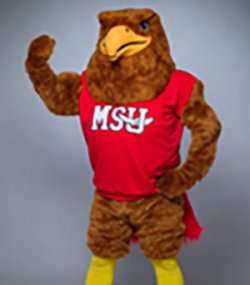 Photo of Mascot