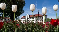 Photo of Campus in Spring