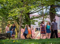 Spring campus scene with groups of students walking on campus.