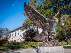 The Hawk Statue on a bright sunny day.
