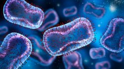 Image of a monkeypox germ