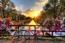 Photo of view of sunrise in Amsterdam from bridge with bicycles and flowers.