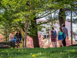Photo of students walking and sitting on campus on a spring day.
