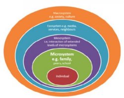 Graphic of chronosystem