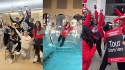 triptych of screenshots from TikTok videos