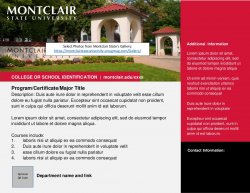screenshot of horizontal program flyer