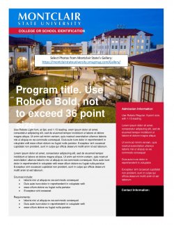 screenshot of vertical program flyer