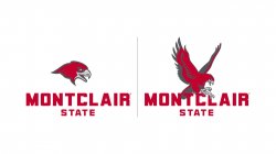 both the head-only and full-body hawk logos with type