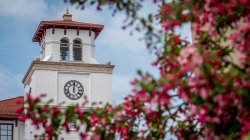 University hall tower framed by blooming tree branches