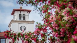 University at Spring