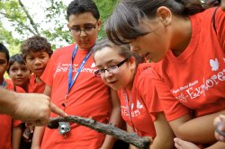 Eco-Explorers looking at an insect on a stick