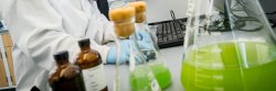 samples in water research lab